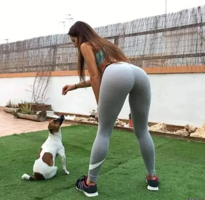 KasimKissa